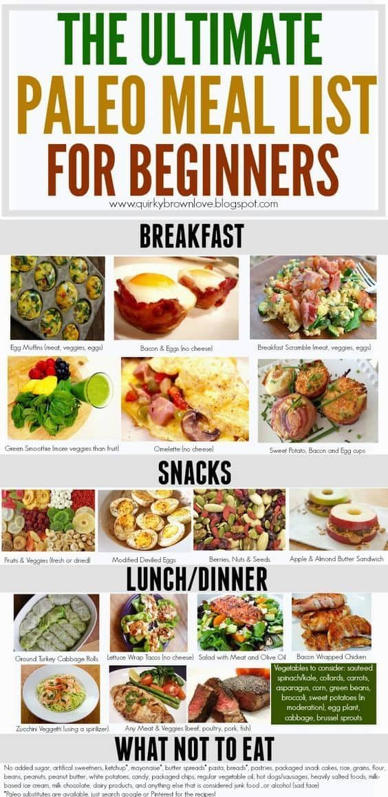 Paleo Diet Plan For Weight Loss Plus Simple Food Planner -   10 diet Logo low carb ideas