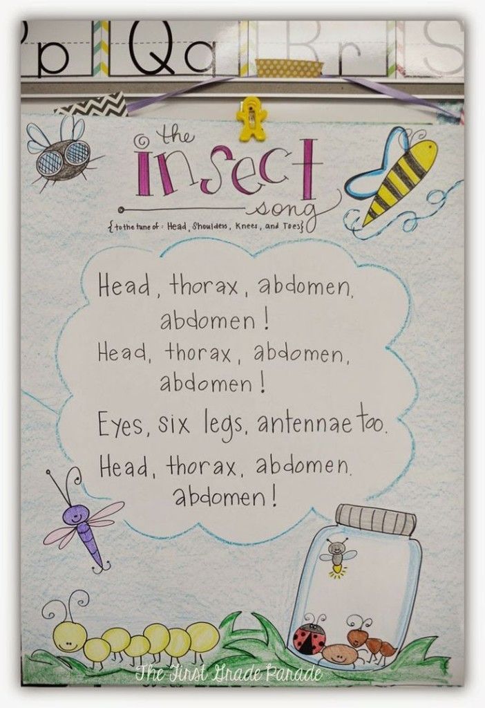 9 Must Make Anchor Charts for Science -   11 plants For Kids anchor charts ideas