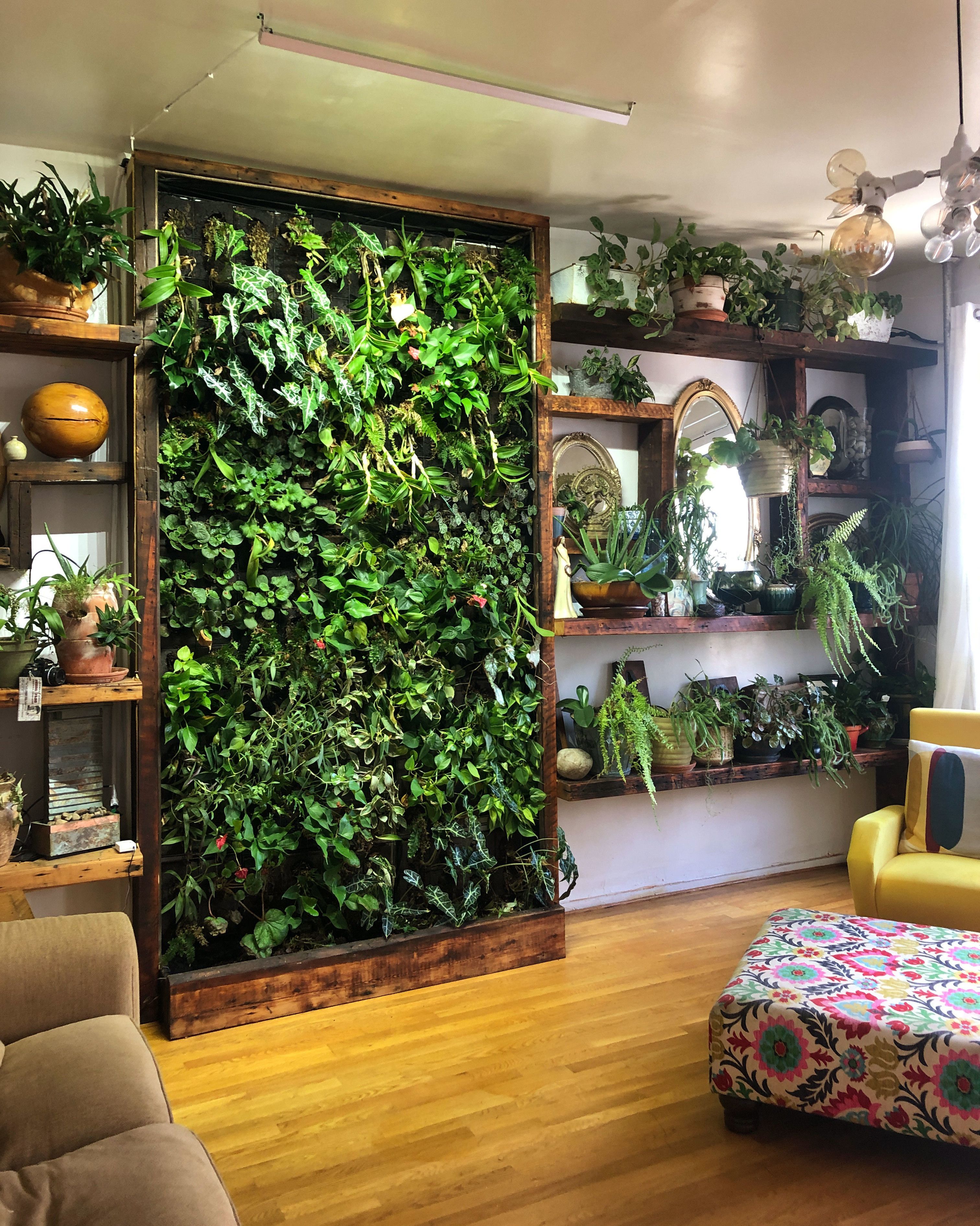Vertical Gardens Are the Perfect Small Space Solution for Plant Lovers -   11 small planting Room ideas