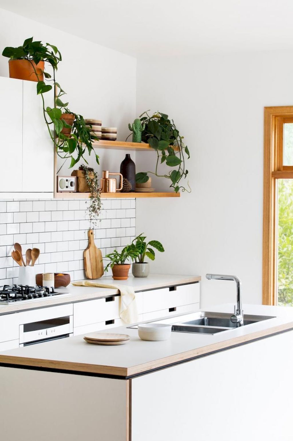 Minimalist Kitchens with Timeless Decoration -   12 plants Interior kitchen ideas