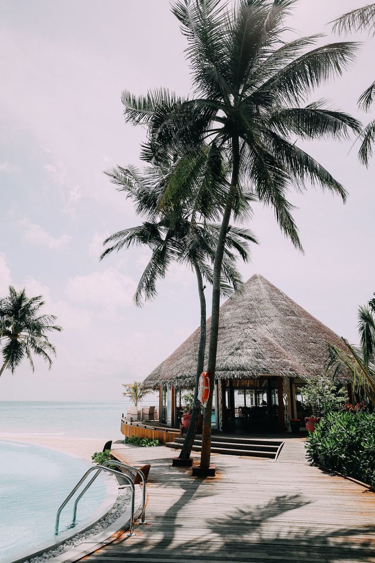 Last Day in the Maldives! -   12 travel destinations Tropical dreams ideas