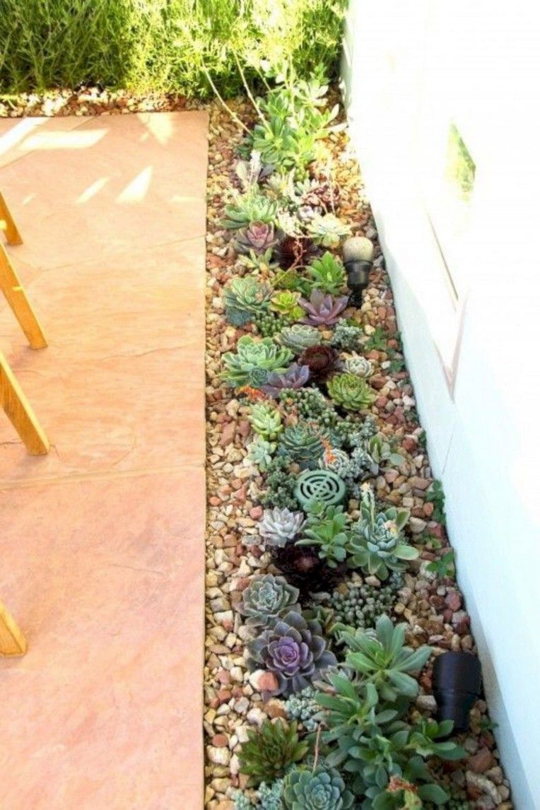 40+ Beautiful Inspiring Desert Garden Design Ideas For Your Backyard -   13 garden design House grass ideas