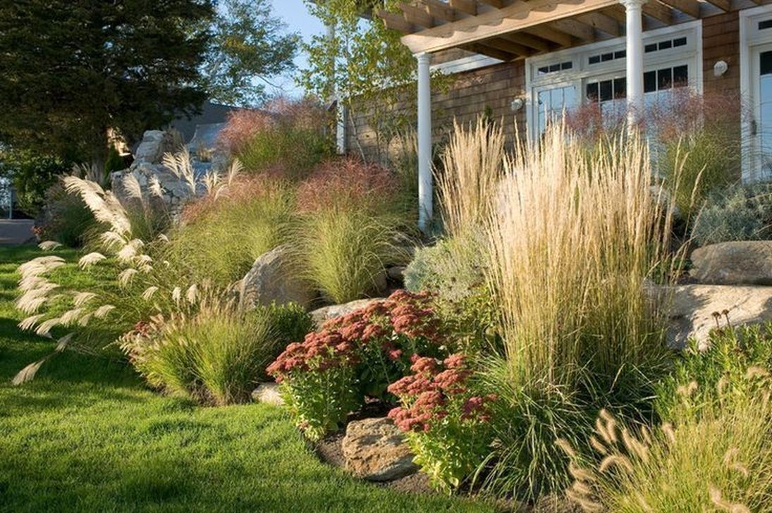 38 Shabby Chic Grass Garden Design Ideas For Landscaping Your Garden -   13 garden design House grass ideas