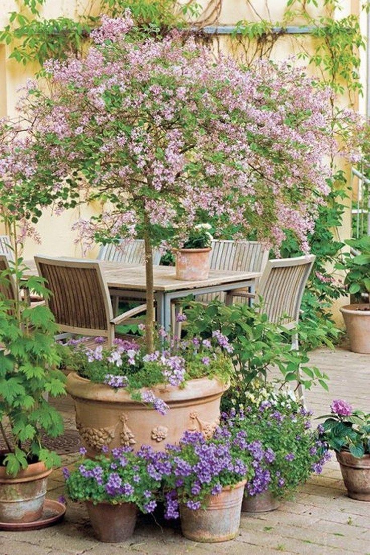 вњ”56 beautiful cottage garden design ideas with the old garden style 45 -   13 garden design Patio dreams ideas