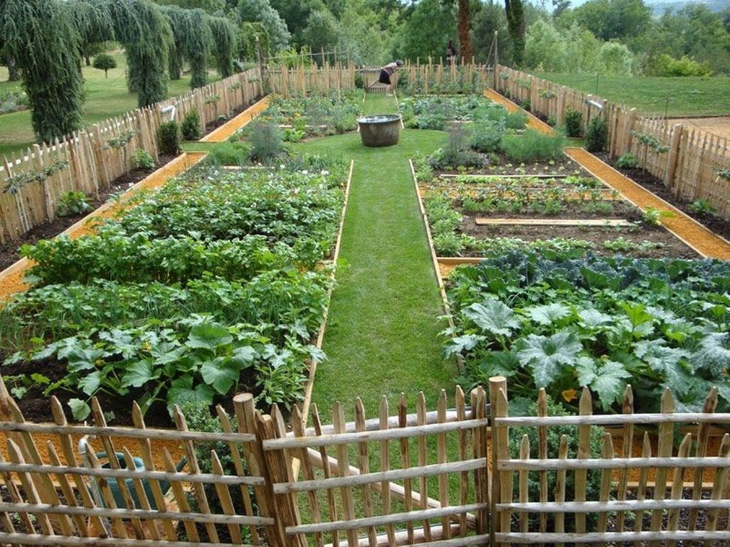 48 Most Popular Kitchen Garden Design Ideas -   13 garden design Patio dreams ideas