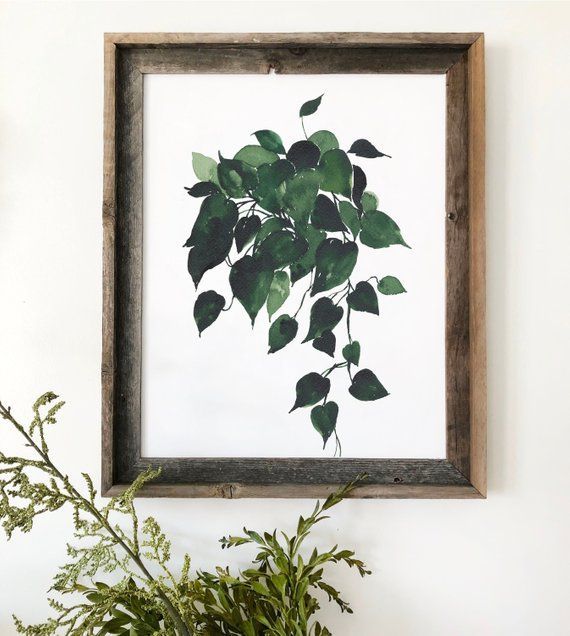 Golden Pothos/Plant Print/Watercolor Plants -   13 indoor plants Logo ideas