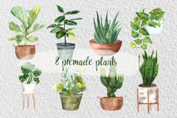 Watercolor Indoor Plants Clip Art Set -   13 indoor plants Logo ideas
