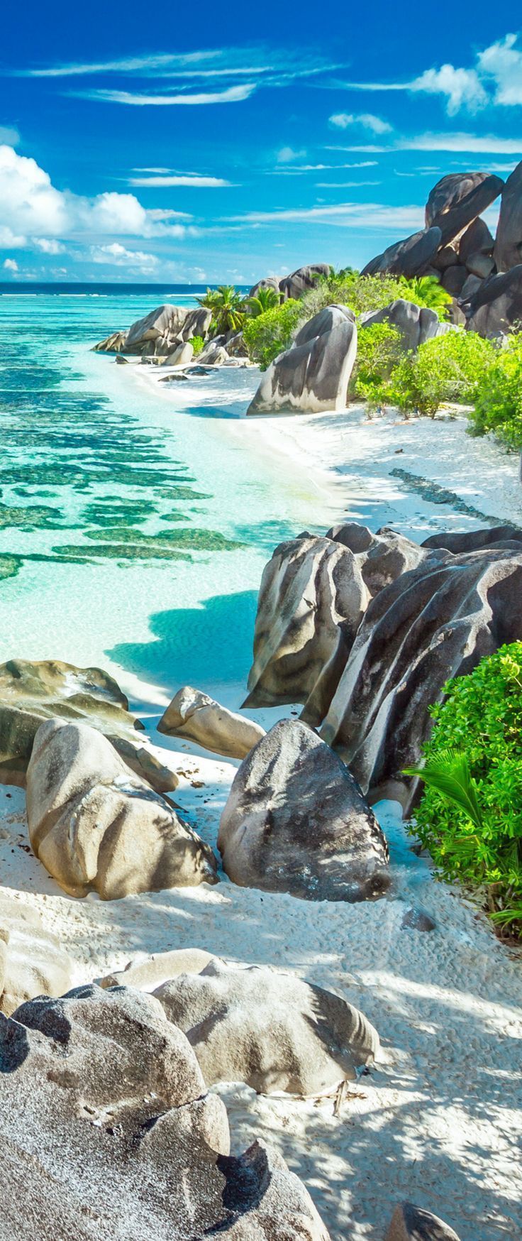 Seychelles Travel Guide: The Best Beach Destination You Probably Know Nothing About -   13 travel destinations Tropical the maldives ideas