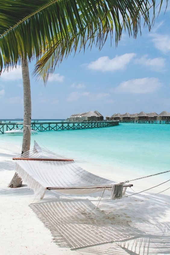 13 travel destinations Tropical the maldives ideas