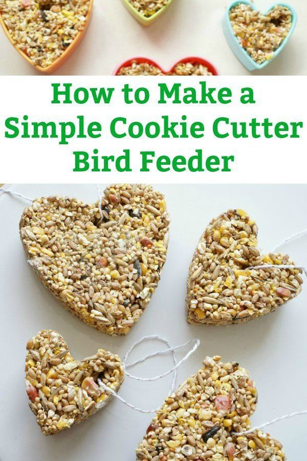 How to Make a Cookie Cutter Bird Feeder a Simple DIY Garden Project -   19 diy projects For Kids step by step ideas