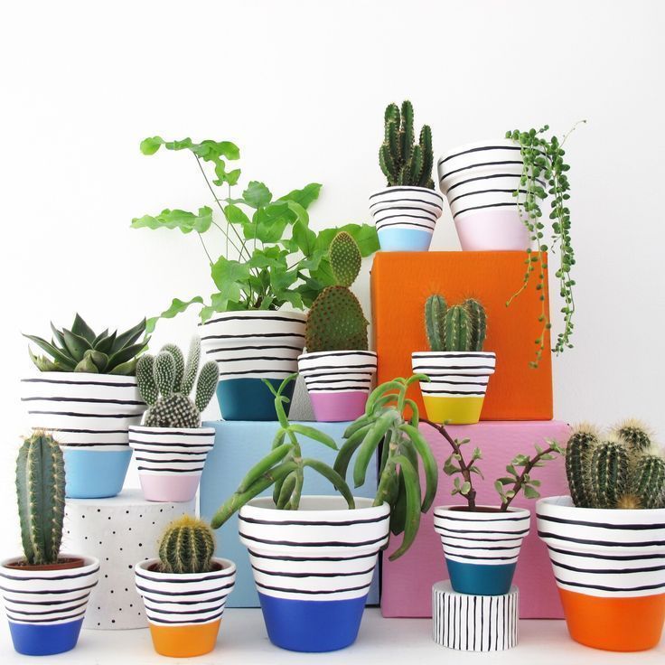 30+ Beautiful Indoor Plan -   19 plants Beautiful pots ideas