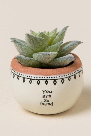 30+ Dazzling Yet Beautiful Diy Cactus Pots That Everyone Can Make -   19 plants Beautiful pots ideas