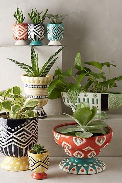 45 Beautiful Mini Plants in Pots You Must Have -   19 plants Beautiful pots ideas