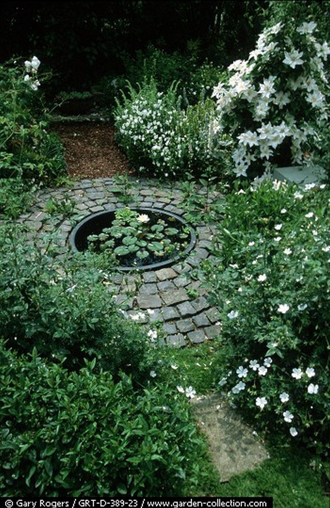 7 garden design Water paths ideas