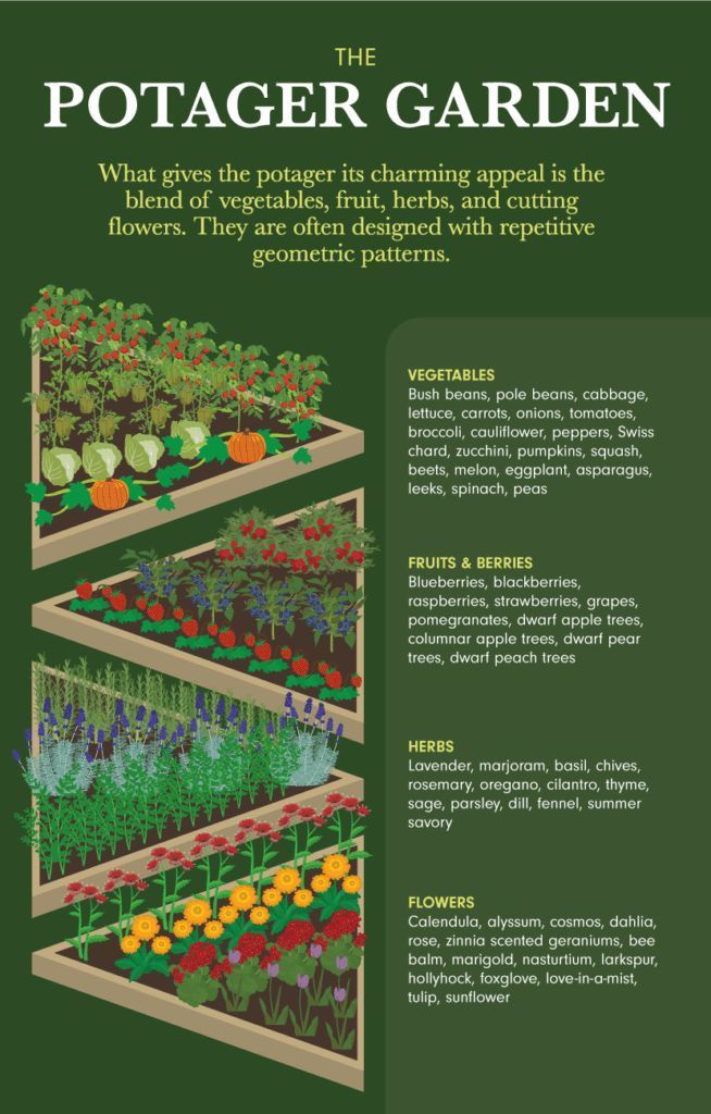 9 garden design Inspiration layout ideas