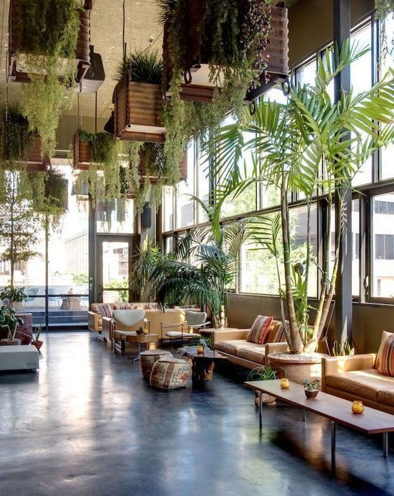 10 plants Interior lobby ideas