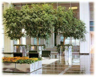 Plants Office Design Floors 29+ Ideas For 2019 -   10 plants Interior lobby ideas