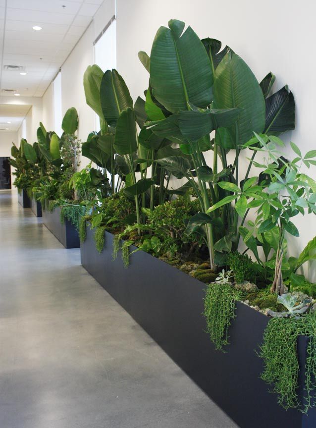Office design: train your brain with the best light you can get -   10 plants Interior lobby ideas