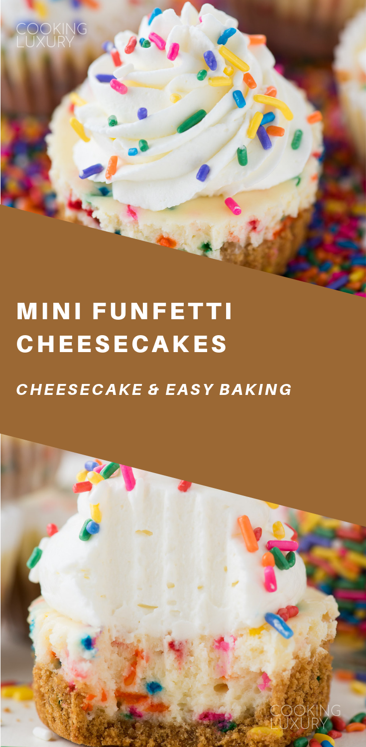 Mini Funfetti Cheesecakes -   11 cake Mini crusts ideas