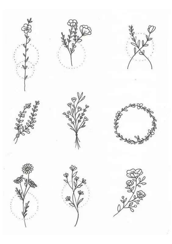 30 Ways to Draw Plants & Leaves -   11 minimalist plants Drawing ideas