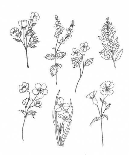 Super Flowers Ilustrations Minimalist Ideas -   11 minimalist plants Drawing ideas