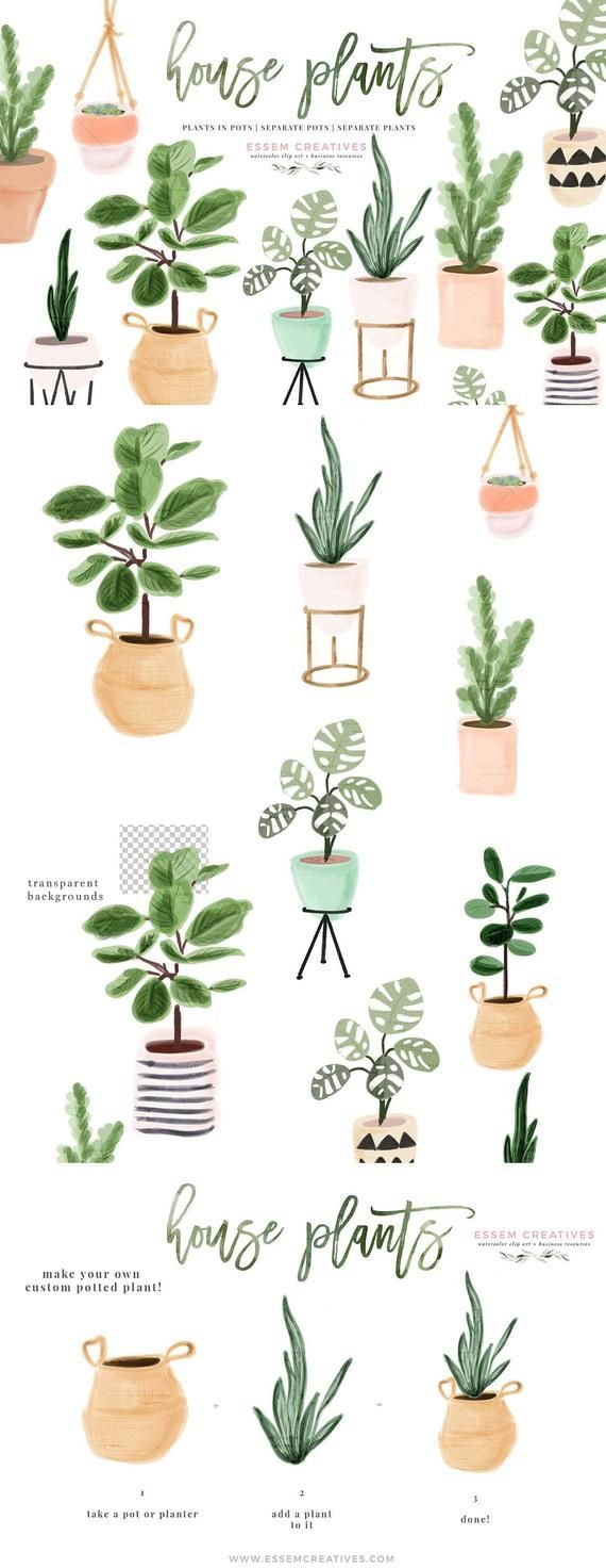 Watercolor House Plants Clip Art, Indoor Plants Potted Plant Clipart, Cactus Succulent, Ceramic Plan -   11 planting House illustration ideas