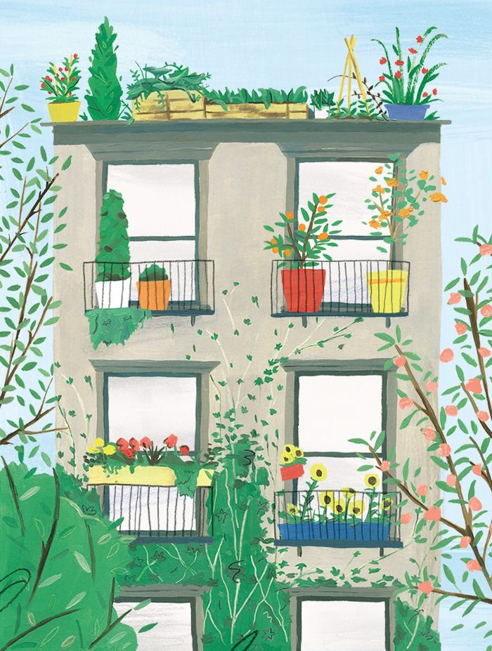 11 planting House illustration ideas