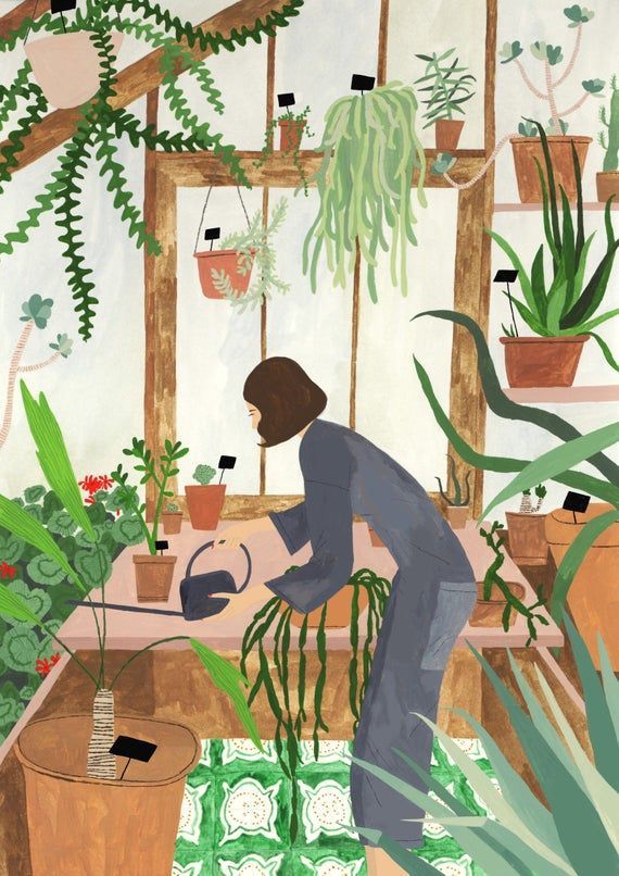 11 planting House illustration ideas