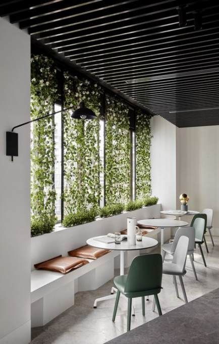 63 Ideas Plants Office Design Ideas -   11 planting Office decor ideas