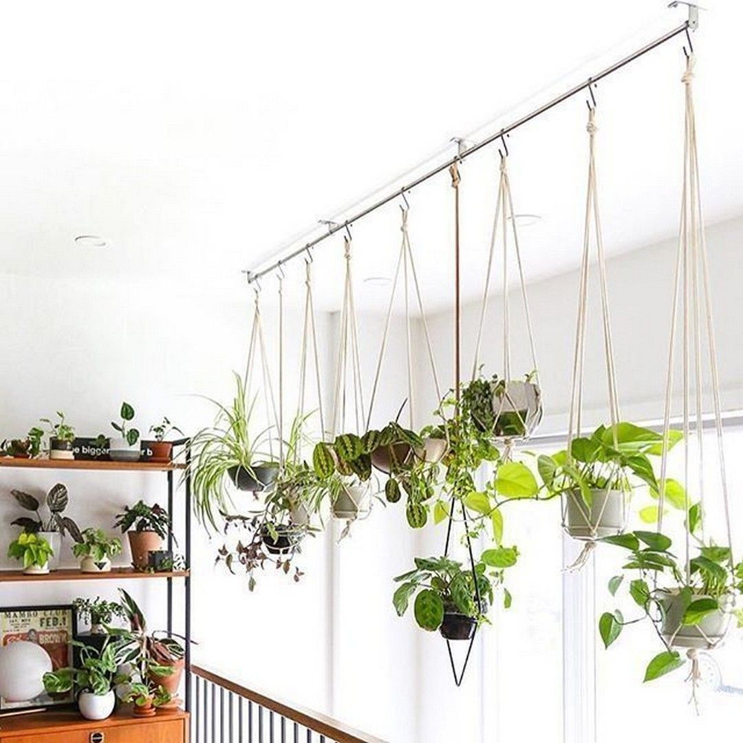 Charming Hanging Plant Ideas -   11 plants Decor corner ideas