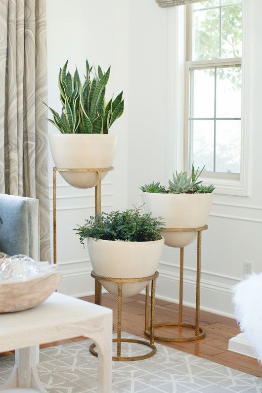 10 Tips for How to Decorate Like a Designer -   11 plants Decor corner ideas