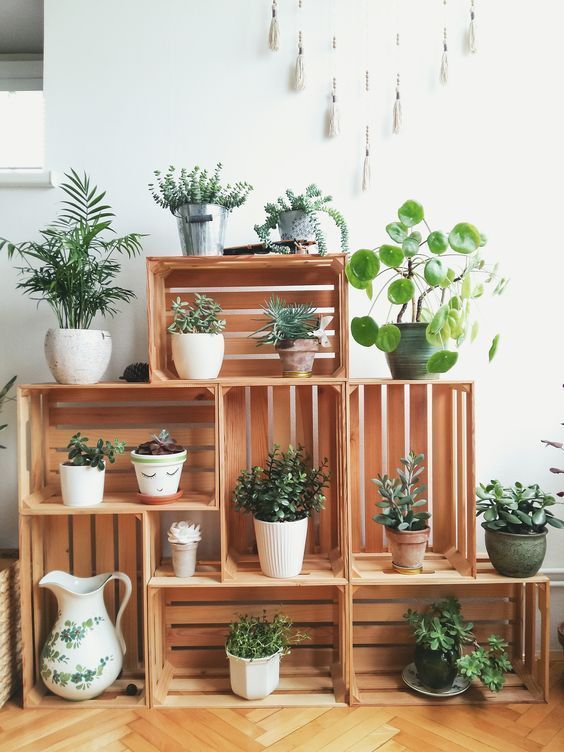 25+ DIY-Pflanzenst?nde mit Gebrauchtwarenladen -   11 plants Decor corner ideas