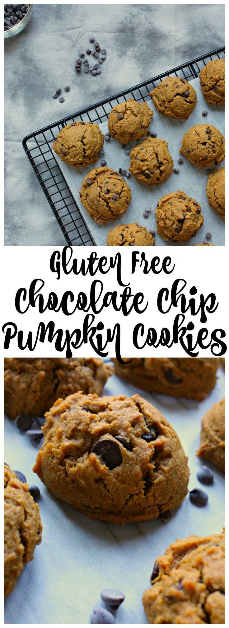 Gluten Free Chocolate Chip Pumpkin Cookies -   13 healthy recipes Gluten Free chocolate chip cookies ideas