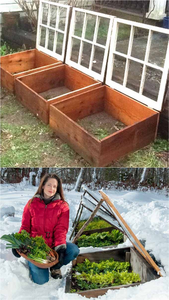 42 Best DIY Greenhouses ( with Great Tutorials and Plans! ) -   13 planting Garden boxes ideas