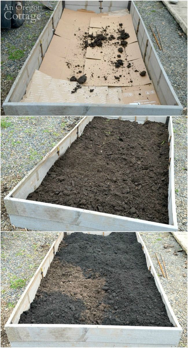 How to Build & Plant a Low Maintenance Raised Garden Bed -   13 planting Garden boxes ideas
