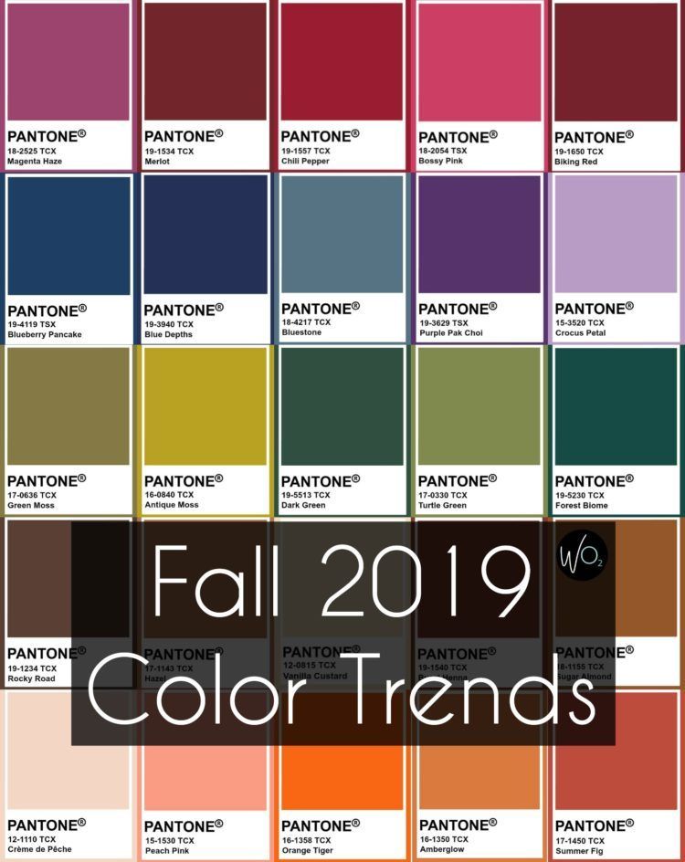 Fall 2019 Color Trends -   13 women’s jewelry Trends shirts ideas