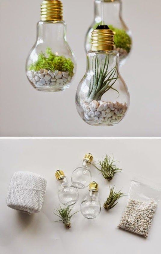 30 Beautiful DIY Ways to Upcycle Lightbulbs -   14 plants Room budget ideas