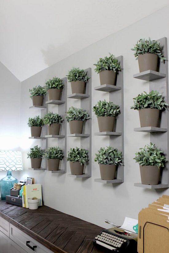 16 Indoor Plant Wall Projects That Anyone Can Do -   15 indoor planting Logo ideas