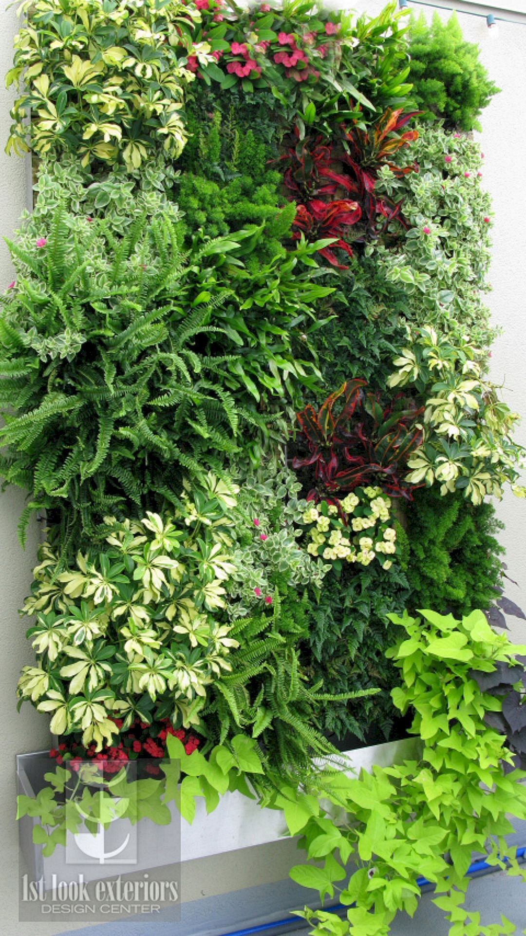 40 Marvelous DIY Wall Gardens Outdoor Design Ideas -   17 plants design on wall ideas