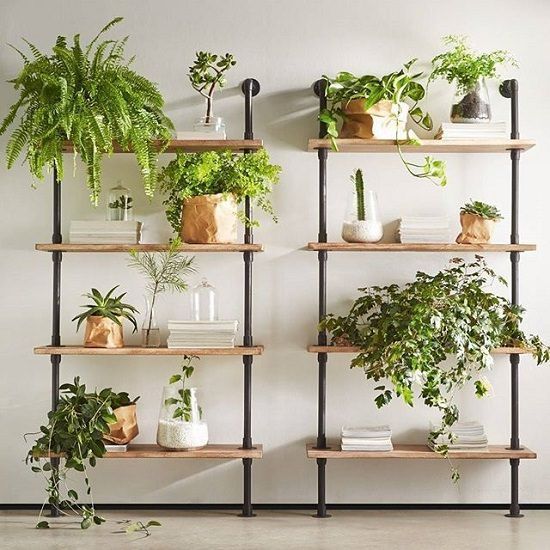 16 Indoor Plant Wall Projects That Anyone Can Do -   17 plants design on wall ideas