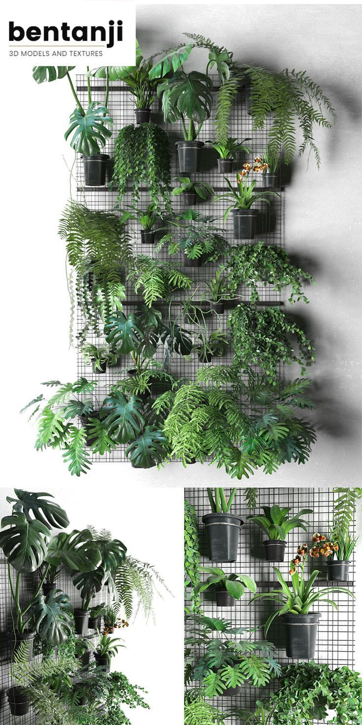 Wall Grid with Pot Plants 3d model -   17 plants design on wall ideas