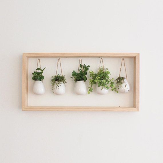 Indoor Herb Garden in Wooden Frame | Wall Mount Planter | Living Plant Wall | Summer Decor | Hanging Planter | Pot for Indoor Plants -   17 plants design on wall ideas