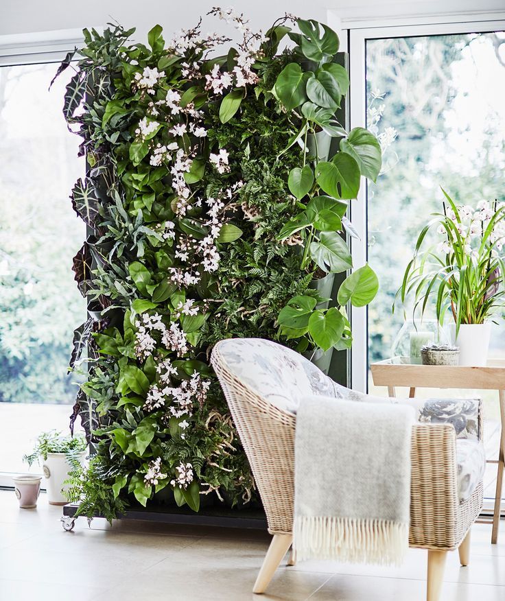 How to make a living plant wall -   17 plants design on wall ideas