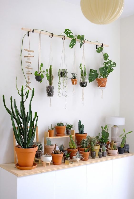17 plants design on wall ideas
