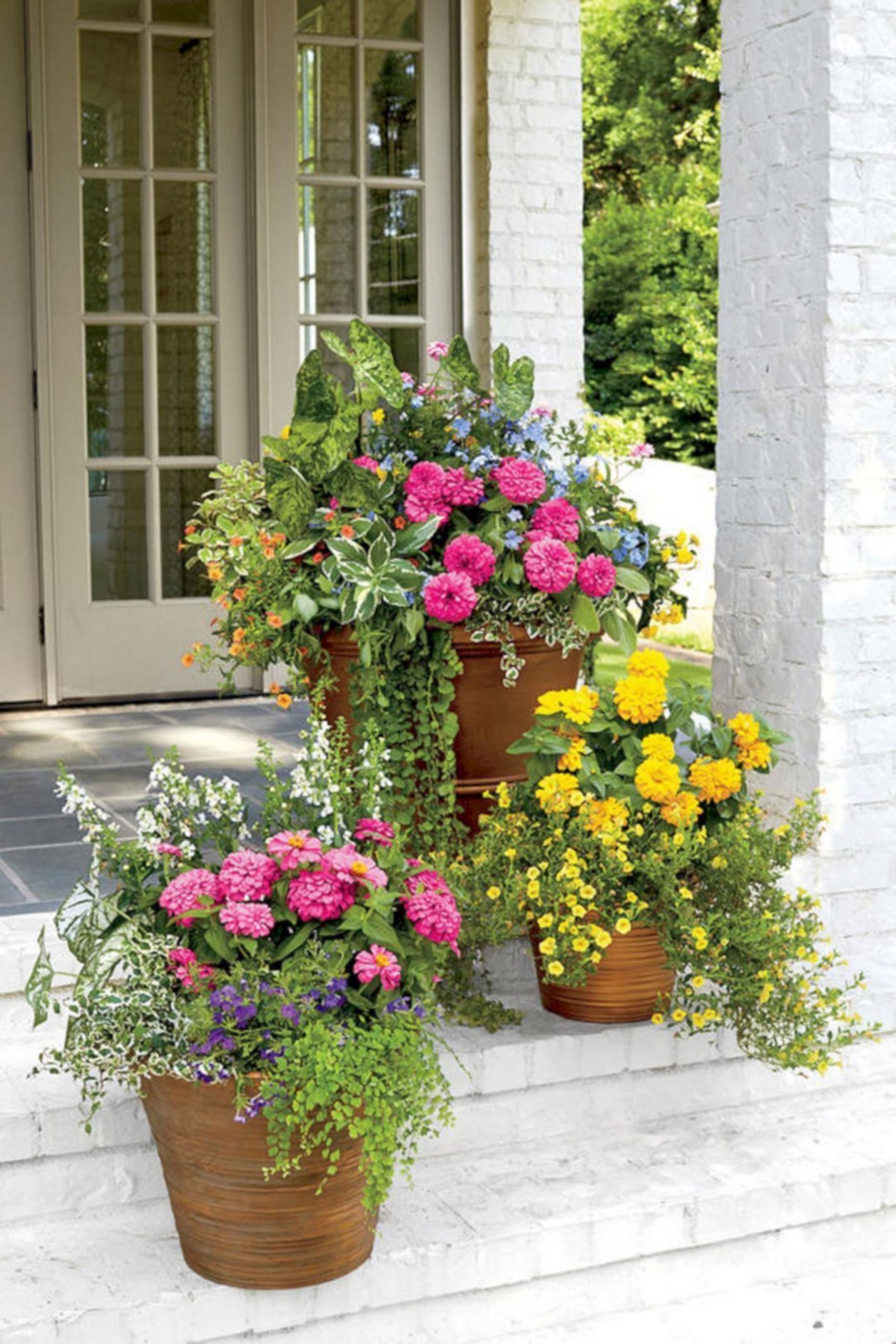 10+ Best Amazing Container Garden Ideas to Increase For Your Home Outdoor -   18 plants Outdoor ideas