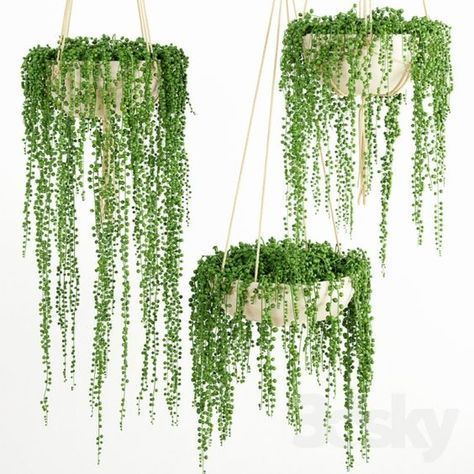 15+ Beautiful Hanging Plants Ideas -   18 plants Outdoor ideas