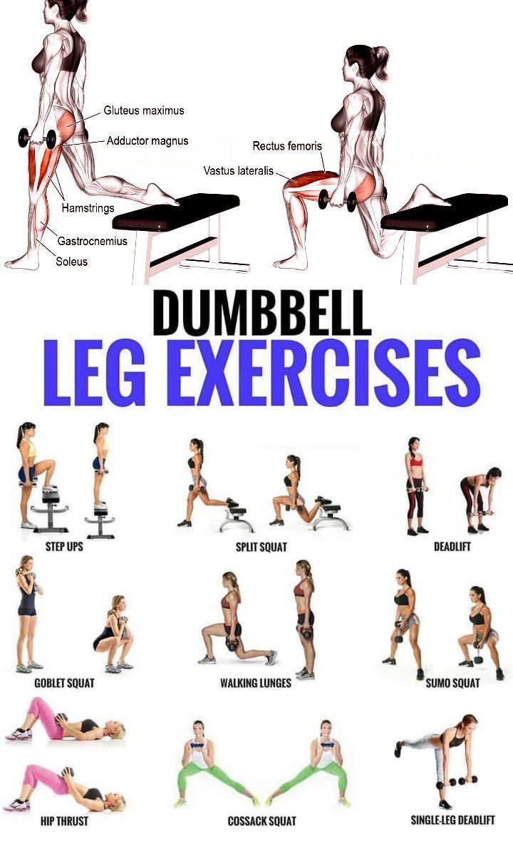 Tone It Up DumbBell Sports - 5lb -   9 fitness Equipment thigh exercises ideas