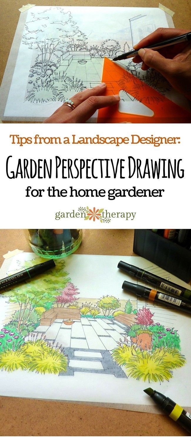 Tips From a Landscape Designer: Garden Perspective Drawing for the Home Gardener -   9 plants Outdoor drawing ideas