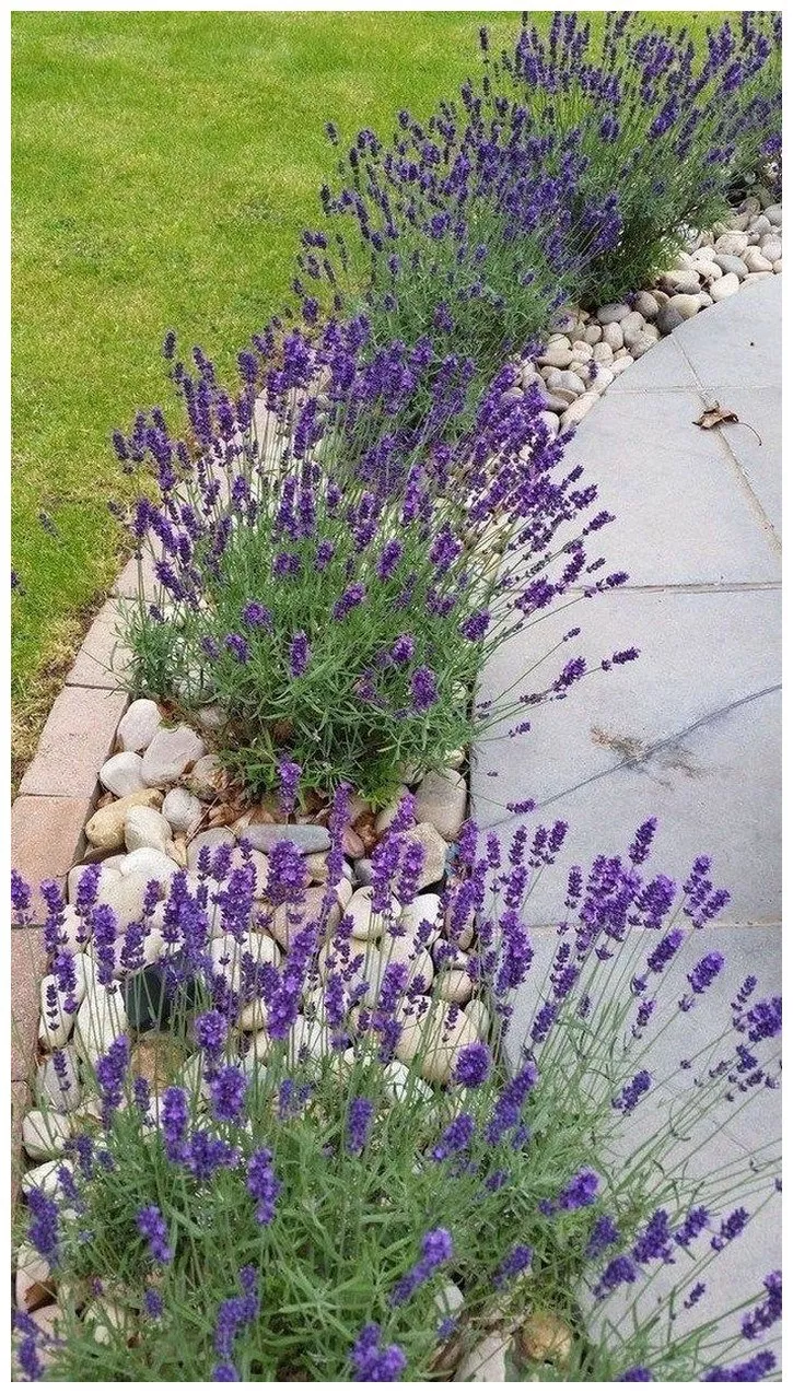 45 simple front yard landscaping ideas on a budget 33 -   10 garden design Rock yard landscaping ideas