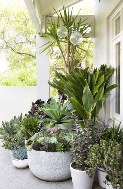 21+ ideas garden design ideas patio potted plants -   10 plants Potted terrasse ideas